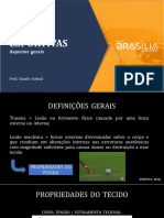 Aspectos Gerais Das Lesões