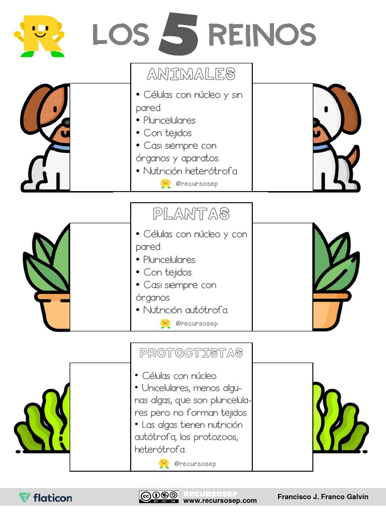 foldable-seres-vivos-reinos-recursosep-color-pdf