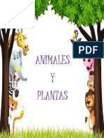 Animales y Plantas