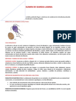 RESUMEN DE GIARDIA LAMBIA