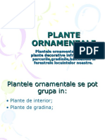 0planteornamentale