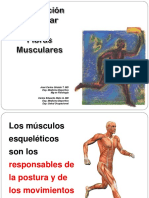 Contracción Muscular y Fibras Musculares JCGT CENG