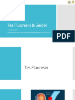 Tes Fluoresin & Seidel
