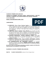 Modelo de Diligencia de Primera Declaracion