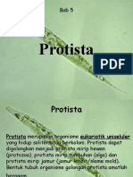 BioLogi - Protista