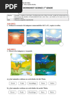 Ciclo Diario Primero Básico.