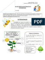 Ciencias 3ºB Guía N°2 Fotosíntesis Unidad 3