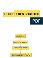 Droit Des Sociétés Schémas