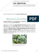 Manual Básico para El Cultivo de Plantas Del Género Peperomia