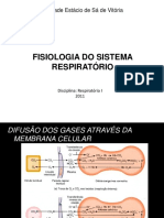 Sistema respiratório e difusão de gases