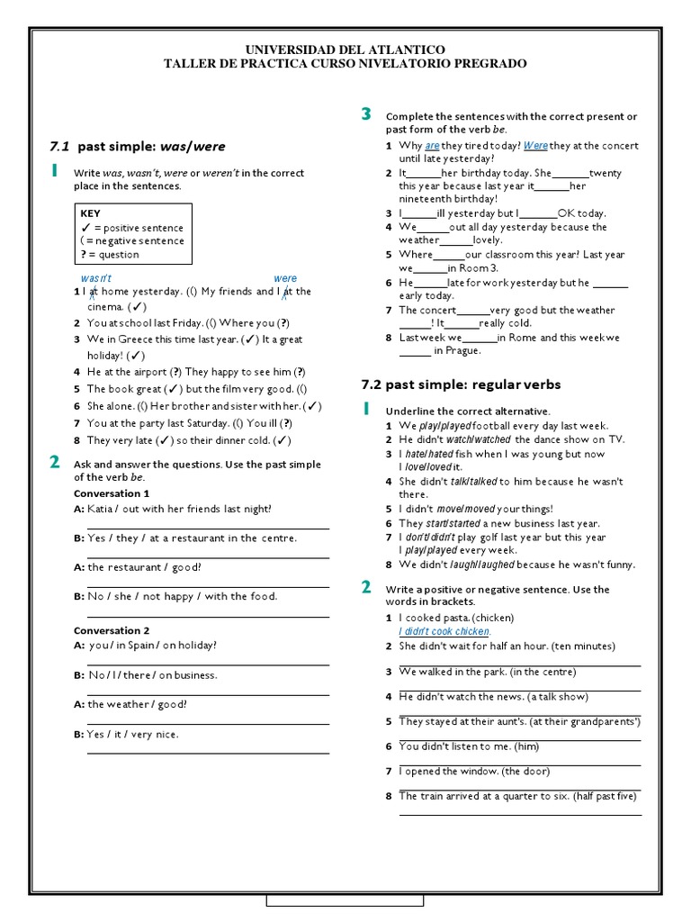 Past Simple Practice Exercises | PDF