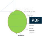 Grafica Zonas Climaticas Prsentes en El Globo Terraqueo