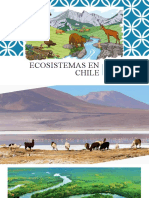 351755047 Ecosistemas en Chile Pptx