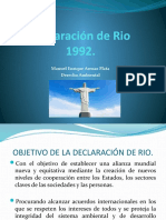 Declaracion de Rio