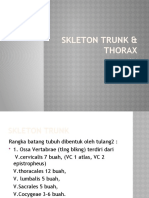 Skleton Trunk & Thorax
