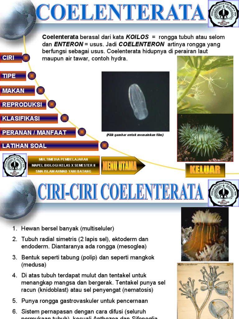Coelenterata