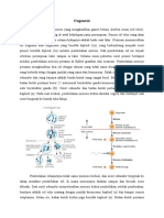 Materi Oogenesis 