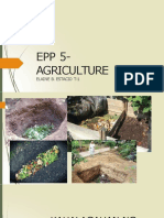 EPP 5-Agriculture: Elaine B. Estacio T-1