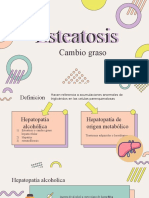 laboratorio patología,, esteatosis