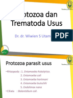 18 - Trematoda Dan Protozoa