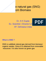 Substitute SNG From Biomass