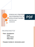 FISIOLOGI PROPRIOSEPTIF, EKSTEROSEPTIF, DAN SOMATOSENSORIS