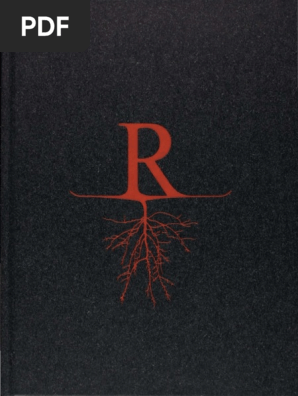 RONNY EMBORG THE WIZARD’S COOKBOOK The Wizard's Cookbook – A Culinary & Visual Masterpiece