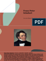 Franz Peter Schubert: Scris de Obaciu David-Alexandru