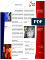 P376 Nanocellulose From Fibres