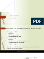 enzym And metabolism