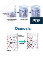difusi osmosis