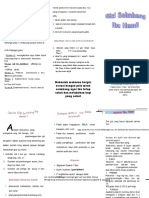 PDF Leaflet Bumil