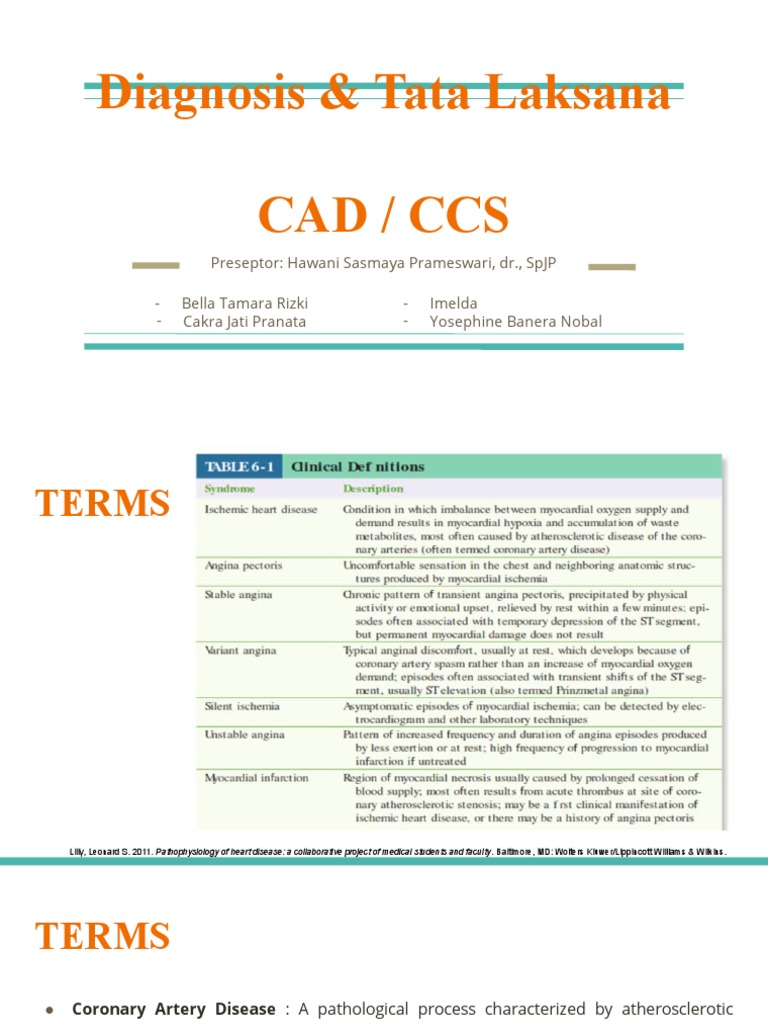 Diagnosis & Tata Laksana Cad / Ccs | PDF | Coronary Artery Disease ...