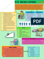 Infografia Lesion Medula Espinal