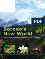 WWF Borneo S New World Species