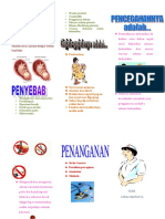 Leaflet Solusio Placenta