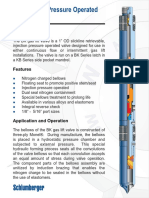 01050-000 BK Valve - Doc