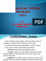 L5 Cardiovascular System PDF