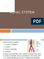 L14 Renal System Edited