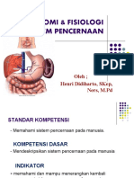 Human digestive system