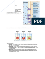 Passive Transport