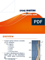 PDF Cervical Spine Anatomy