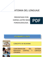 Neuroanatomia Del Lenguaje