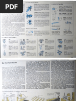 L'Art de Vivre Au Temps Jadis 3-4 | PDF