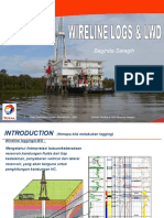 Wireline Logs & LWD