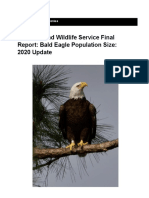 Bald Eagle Population Size 2020