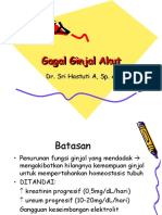 Gagal Ginjal Akut