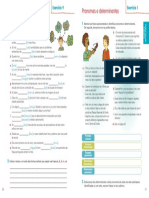 Determinantes e Pronomes