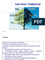 Respirasi Selluler Pada Tumbuhan Pakai-2019