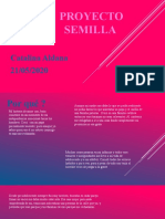 Proyecto Semilla 2